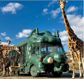 アフリカンサファリ